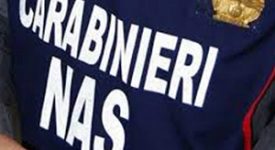 NAS Escrementi di topi e piccioni sulla farina del panificio che riforniva i kebabbari