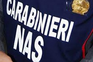 NAS Escrementi di topi e piccioni sulla farina del panificio che riforniva i kebabbari