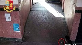 Tentato omicidio in via Borsi arrestato l’autore