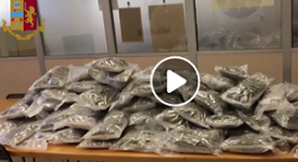 Sequestrati 60 kg di marijuana ad albanese