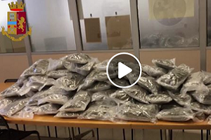 Sequestrati 60 kg di marijuana ad albanese
