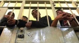 43% dei detenuti sono stranieri primi i tunisini