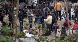 Interrogazione alla Camera per il mercato abusivo di viale Puglie
