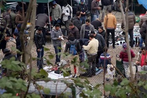 Interrogazione alla Camera per il mercato abusivo di viale Puglie