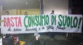 Manifestazione per salvare gli alberi del Politecnico