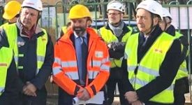Topi nella Scuola media Gemelli, FdI: Limonta cosa fa?