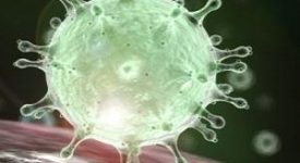 Il rischio contagio in Lombardia scende da moderato a basso Covid, già a gennaio i primi casi in città "Gli accessi al Pronto soccorso e le attività programmate - ha fatto sapere nella notte l'assessore al Welfare della Regione Lombardia, Giulio Gallera - sono state subito interrotte a livello cautelativo". Gallera pronta la task force per affrontare il Coronavirus