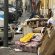NoLo, Sardone discariche abusive e degrado da terzo mondo