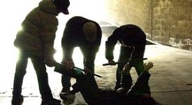 Arrestati cinque componenti di una baby gang Rapine in stile Gomorra: sei minorenni in comunità Denunciati nove membri di una baby gang Polizia arresta i membri di una baby gang Baby gang accoltella coetaneo a Lambrate