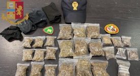 Cani poliziotto trovano deposito di droga al Parco Sempione