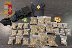 Cani poliziotto trovano deposito di droga al Parco Sempione