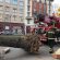 Albero cade a causa del vento