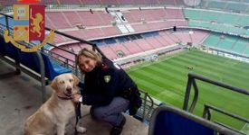 Sequestri e cariche, un arresto e 3 denunce al derby