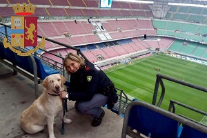Sequestri e cariche, un arresto e 3 denunce al derby