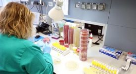 isolato al Sacco il ceppo italiano del virus