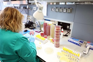 isolato al Sacco il ceppo italiano del virus