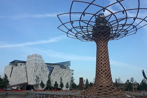 expo