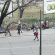 viale puglie