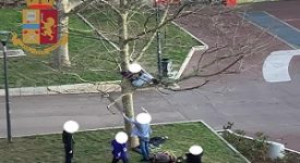 In cinque al parco, denunciati