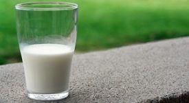 latte caseario