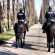 Polizia a cavallo ferma cinque trasgressori dei divieti