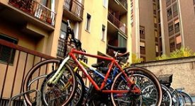 Arrestati ladri di biciclette magrebini
