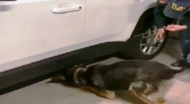 Tre arresti per spaccio nei pressi di viale Monza