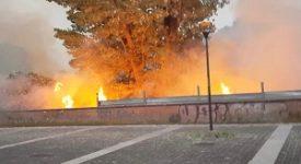 Incendio al parco Ticinello. Forza Italia: possibile dolo 1