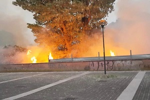 Incendio al parco Ticinello. Forza Italia: possibile dolo 1