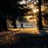fotodiFAMIANI_Idroscalo_colori_tramonto_paesaggio_sport_alberi