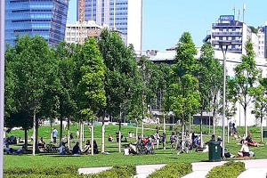 Folla alla Biblioteca degli Alberi.
