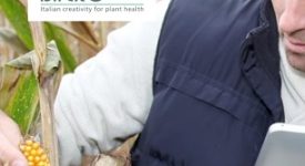 isagro