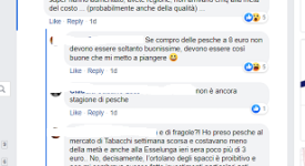 pesche commercio