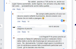 pesche commercio