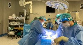 sesto chirurgia ospedale
