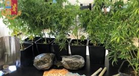 Arrestati due spacciatori di marijuana