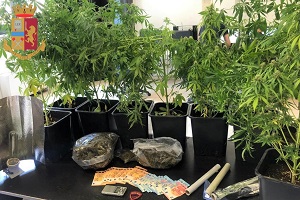 Arrestati due spacciatori di marijuana