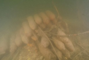 bombe lago