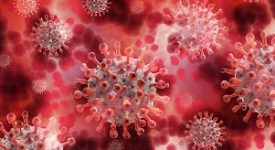 Covid: calano ricoveri e tasso positività Sale al 22,6% il rapporto tamponi/contagiati in Brianza situazione drammatica Coronavirus: 23.409 tamponi, 388 nuovi casi e un decesso Coronavirus: 16.200 tamponi effettuati sono 242 i nuovi positivi