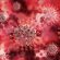 Covid: calano ricoveri e tasso positività Sale al 22,6% il rapporto tamponi/contagiati in Brianza situazione drammatica Coronavirus: 23.409 tamponi, 388 nuovi casi e un decesso Coronavirus: 16.200 tamponi effettuati sono 242 i nuovi positivi