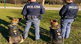 Ivoriano prende a calci cane poliziotto