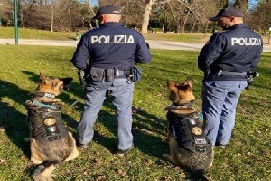 Ivoriano prende a calci cane poliziotto