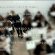 Sgominata banda di nordafricani che favoriva l’immigrazione clandestina