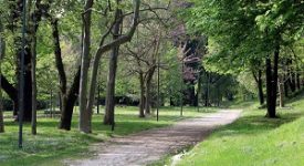 Donna violentata a Monte Stella