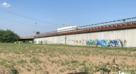 Nuove zone boschive e prati fruibili al Parco Nord