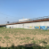 Nuove zone boschive e prati fruibili al Parco Nord