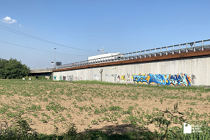 Nuove zone boschive e prati fruibili al Parco Nord