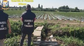 Caporalato. Braccianti trattati come schiavi