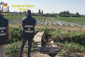 Caporalato. Braccianti trattati come schiavi