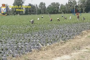 De Chirico (FI): Sala tace sul caporalato alle porte di Milano